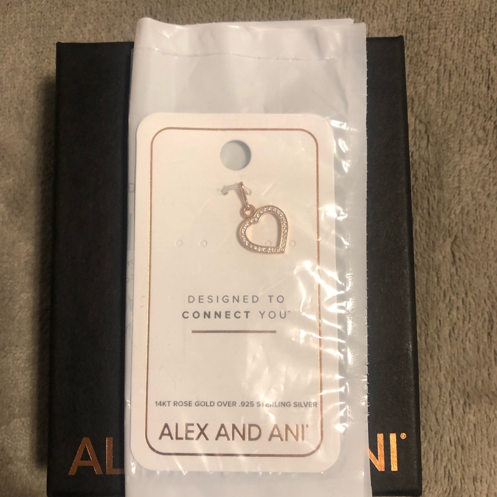 Alex and Ani Charm